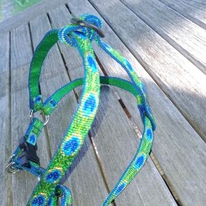 Lupine step in dog harness